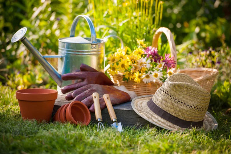 Pesticides, Herbicides & More