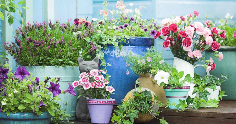 Pots, Planters, & Stands