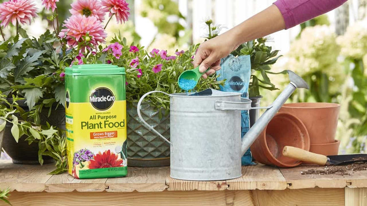 Plant Food, Fertilizers & more