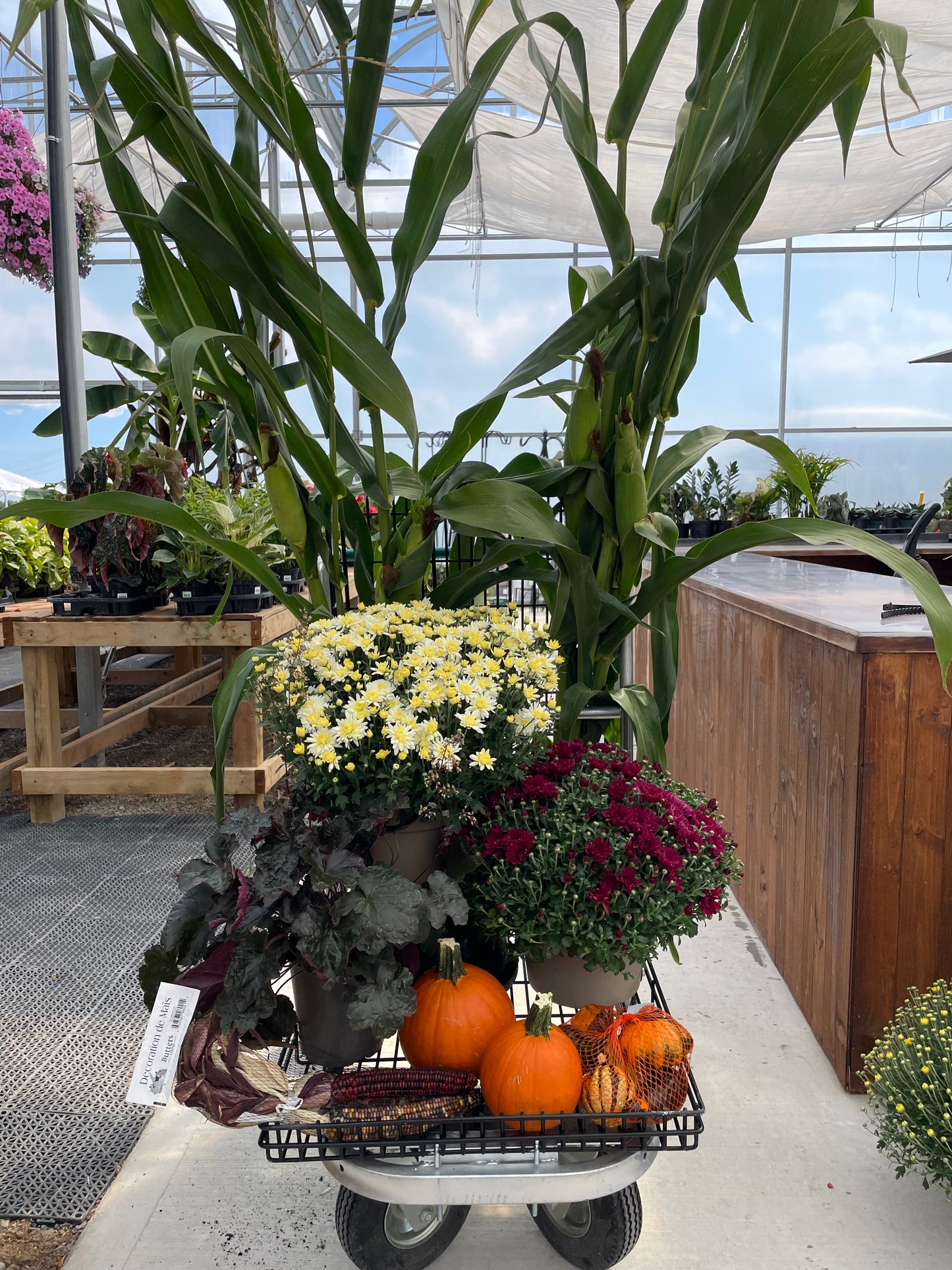 Fall Porch Bundle - Classic