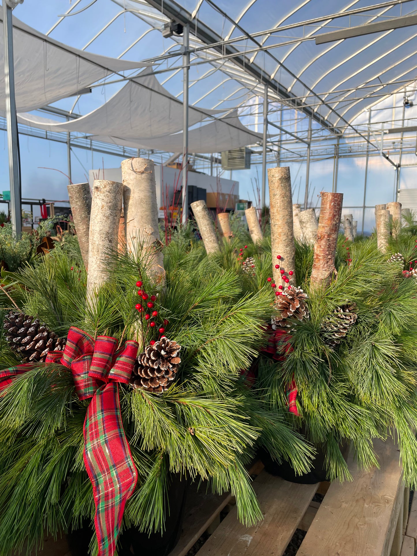 Winter Porch Planter Birch