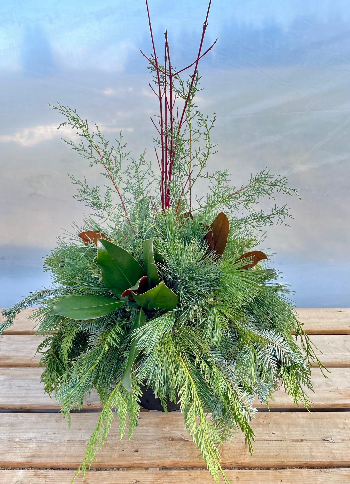Winter Porch Planter Fancy Greens + Dogwood