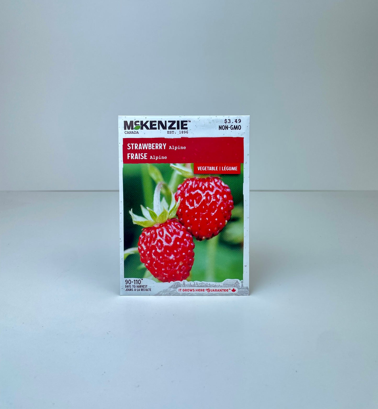 Strawberry Alpine Seeds
