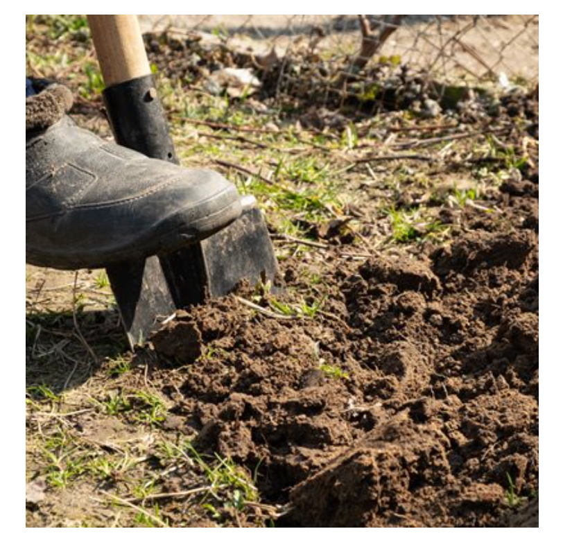 Drain / Transplanting Spade 61in x 6in Blade Fibreglass L-Handle