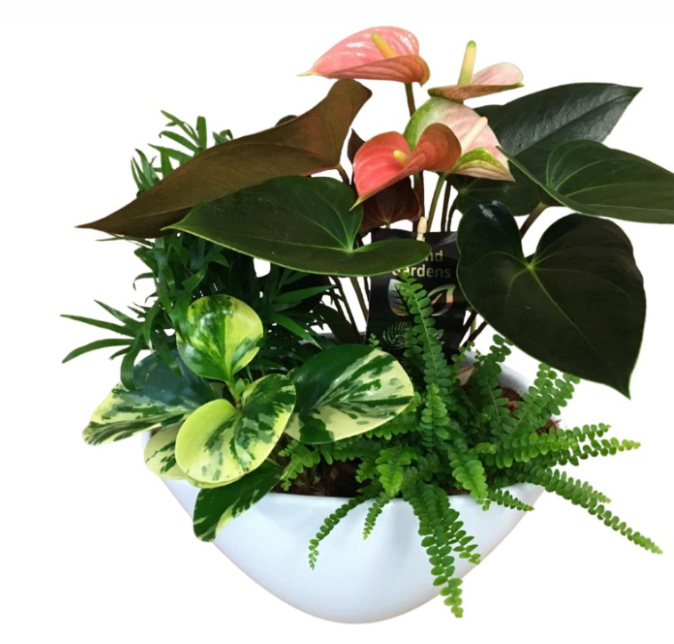 Large Eileen Planter