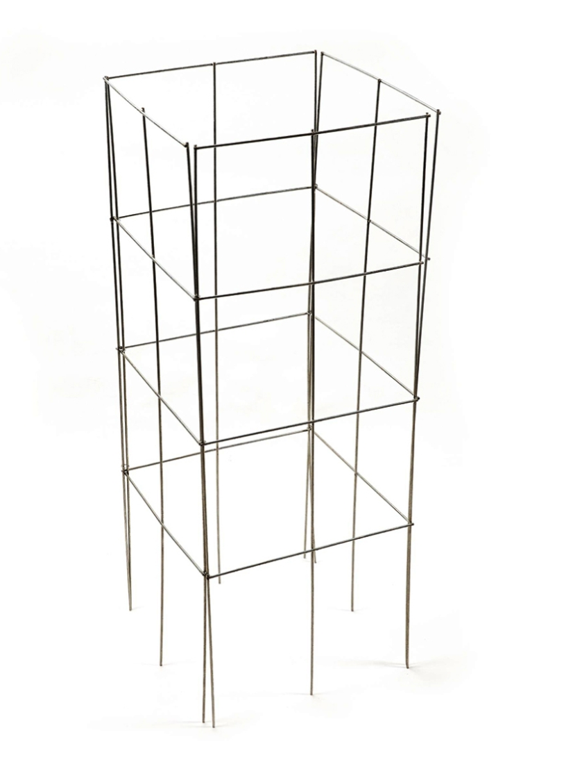 Wire Square Folding Tomato Cage Galvanized 42x15.5x48"