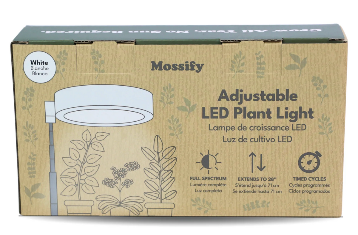 LED Light White