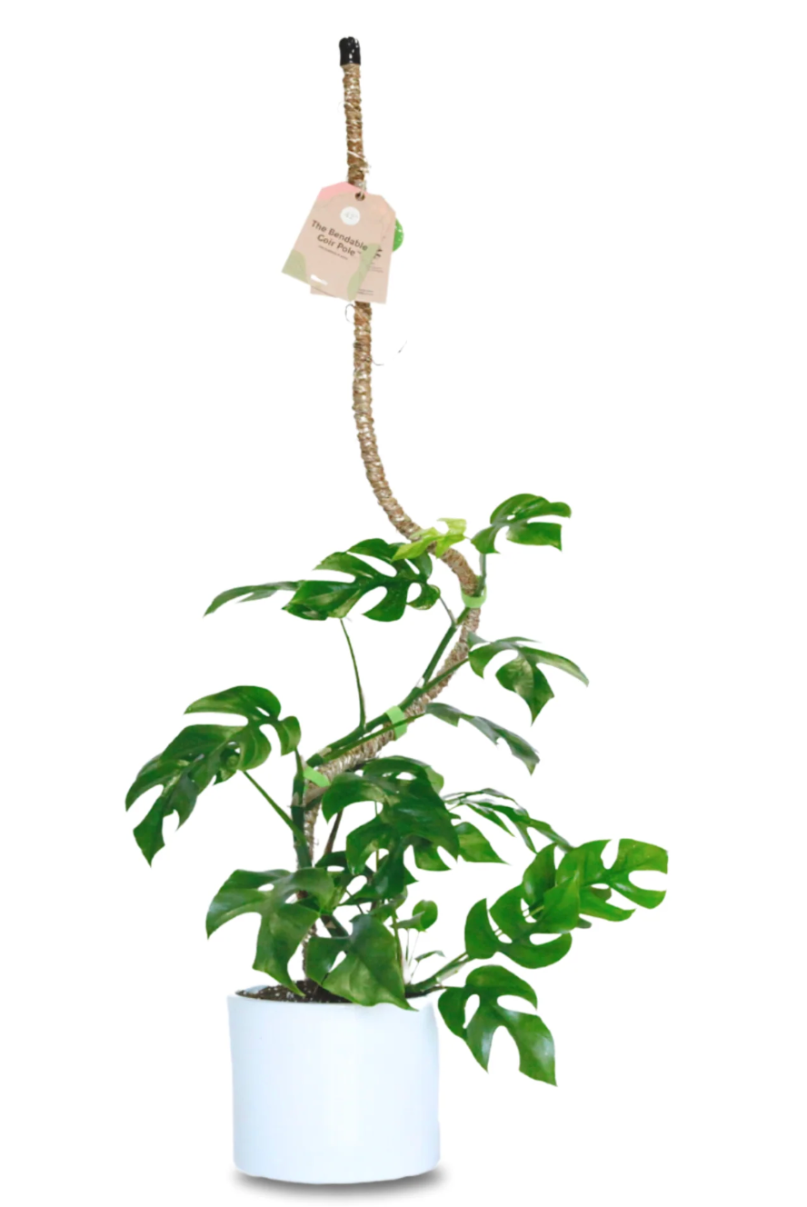 Bendable Coir Pole™