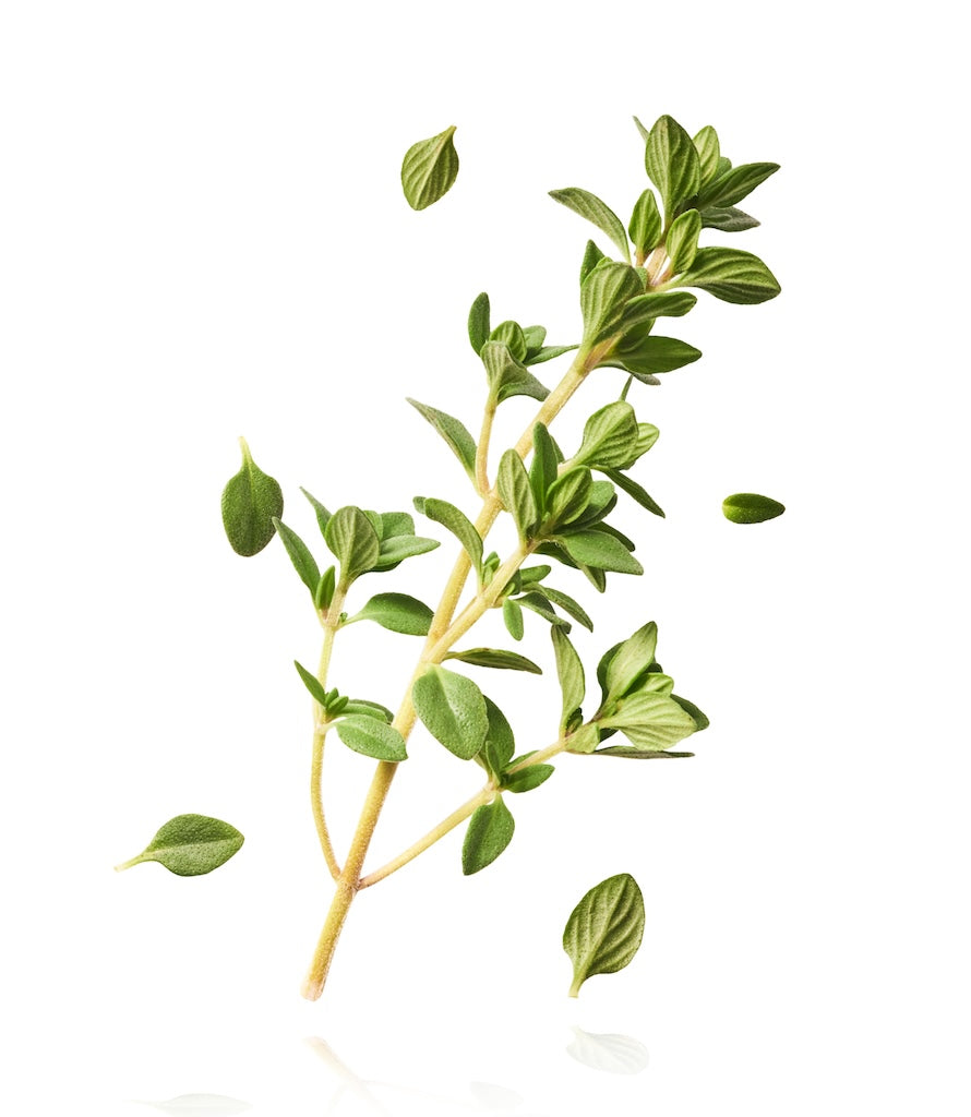 Orangelo Thyme