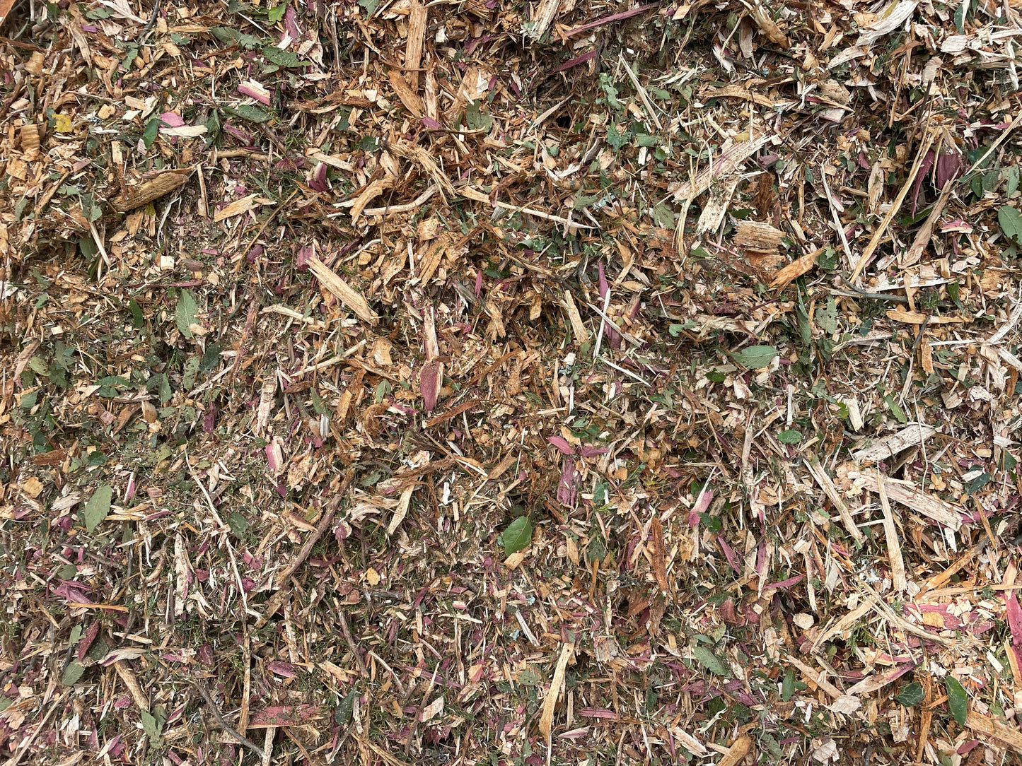 Cedar Mulch