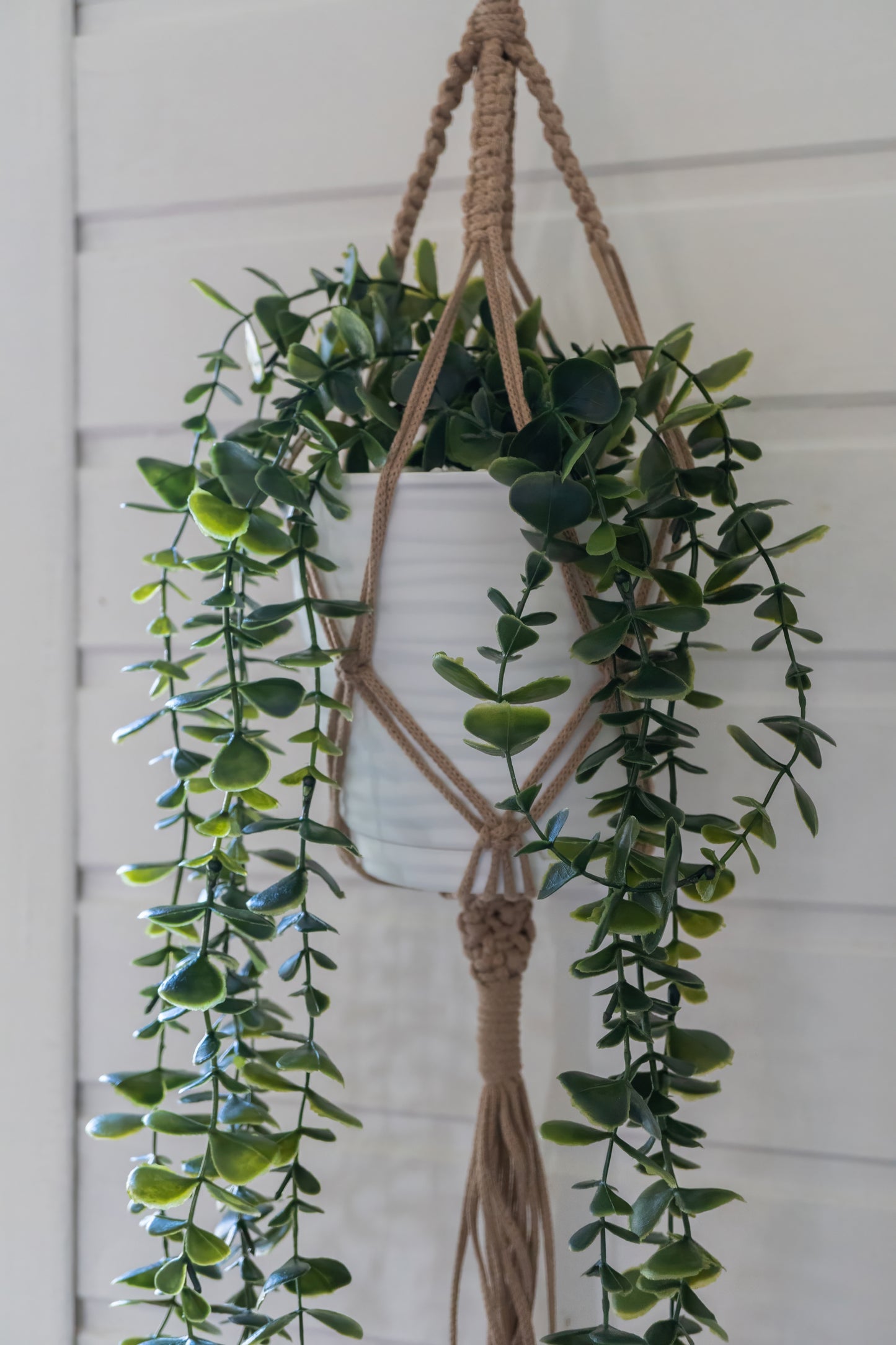 Giant Macrame Pot Hanger