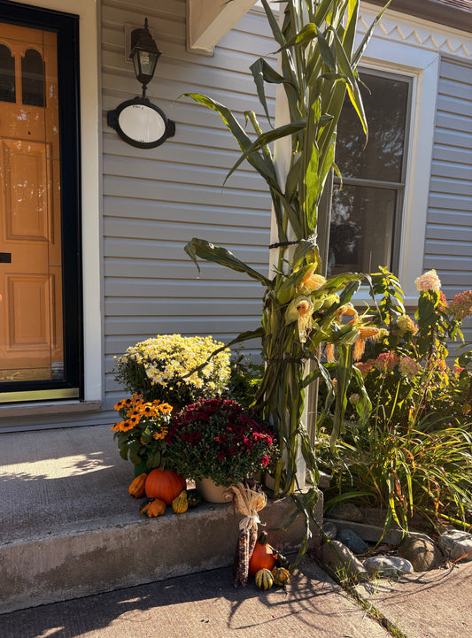 How to Design a Beautiful Front Porch in Strathroy, Ontario