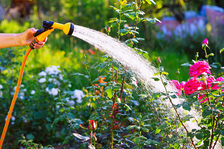Lawn & Garden Watering Tools