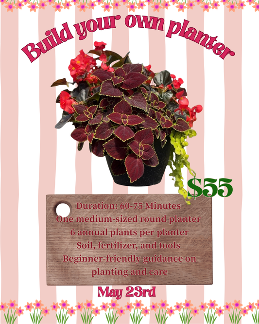 Mixed Annual Planter Workshop