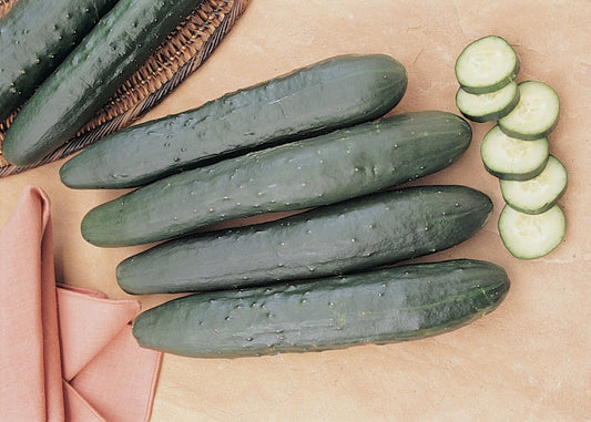 Burpless Spreme English Cucumber