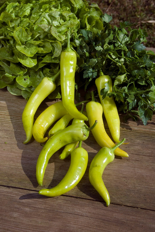 Sweet Banana Pepper