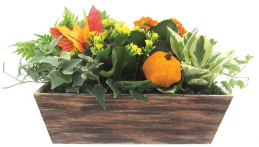 Fall Arrangement in Gather Box