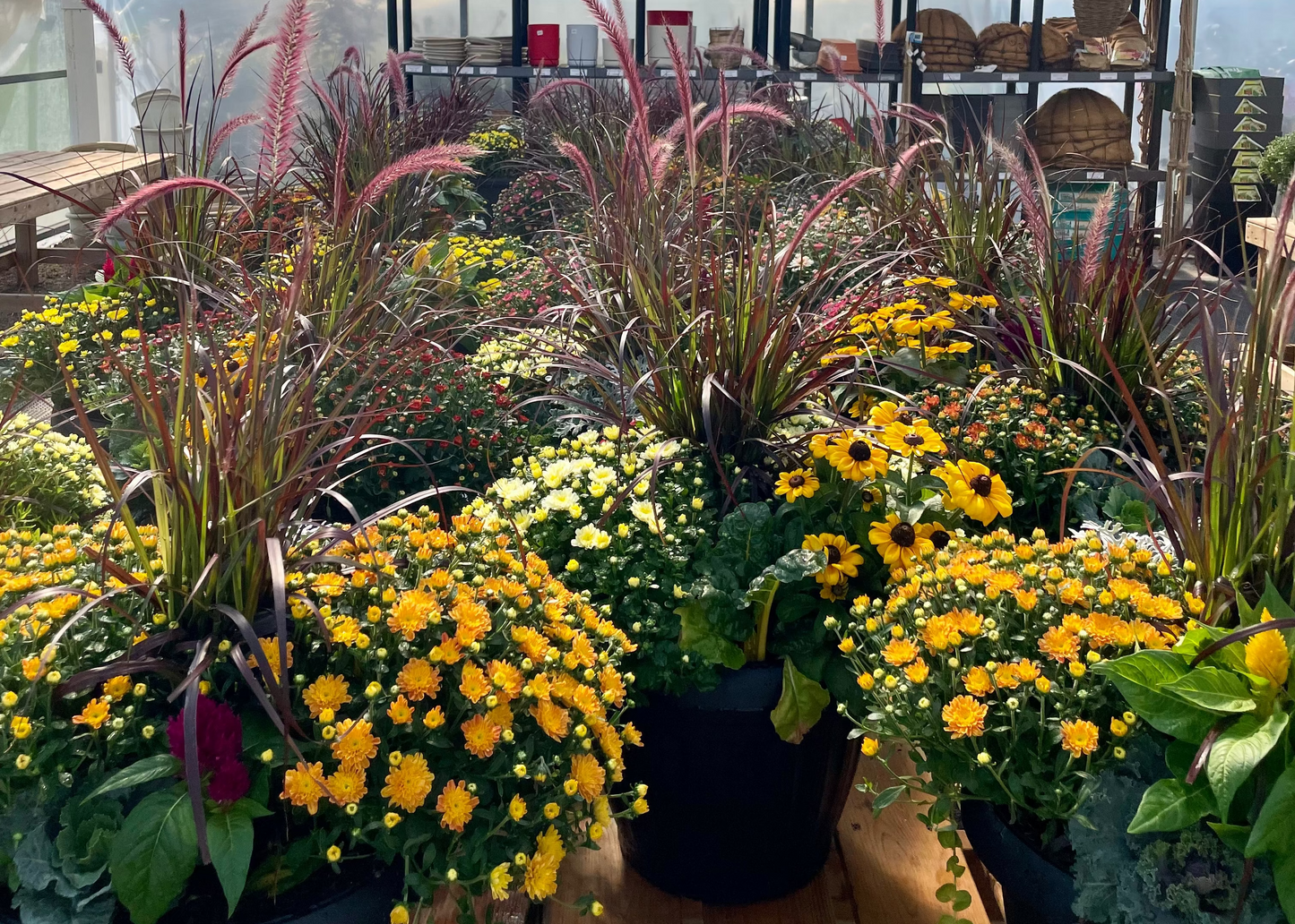 Fall Planter Combos