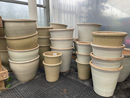 Tall Planter Pot - Lychee White