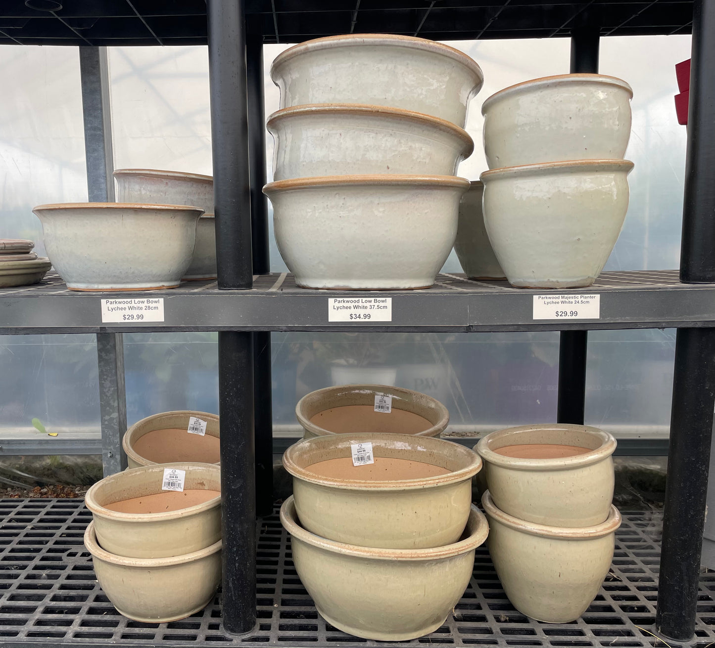Shallow Bowl - Cream
