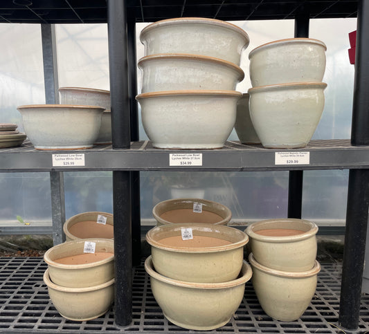 Shallow Bowl - Cream