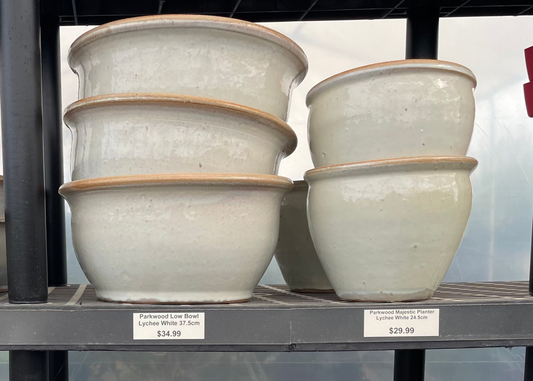 Shallow Bowl - Lychee White