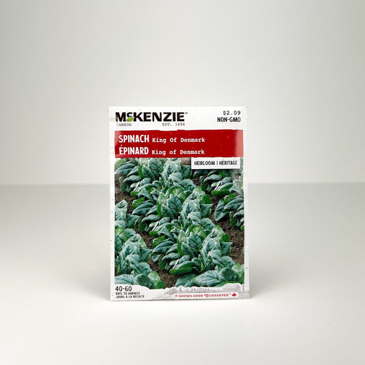 Spinach King of Denmark Seeds