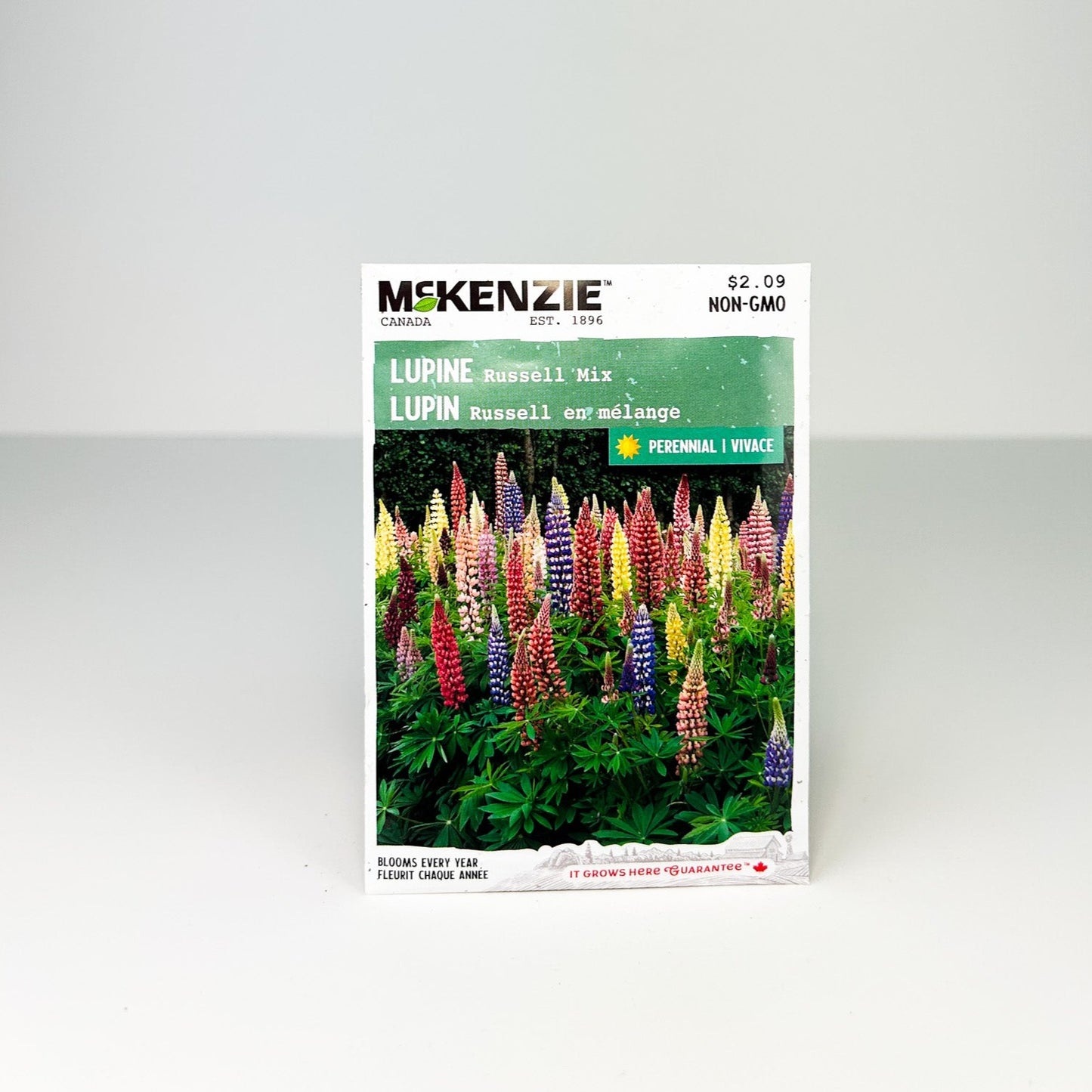 Lupine Russell Mix Seeds