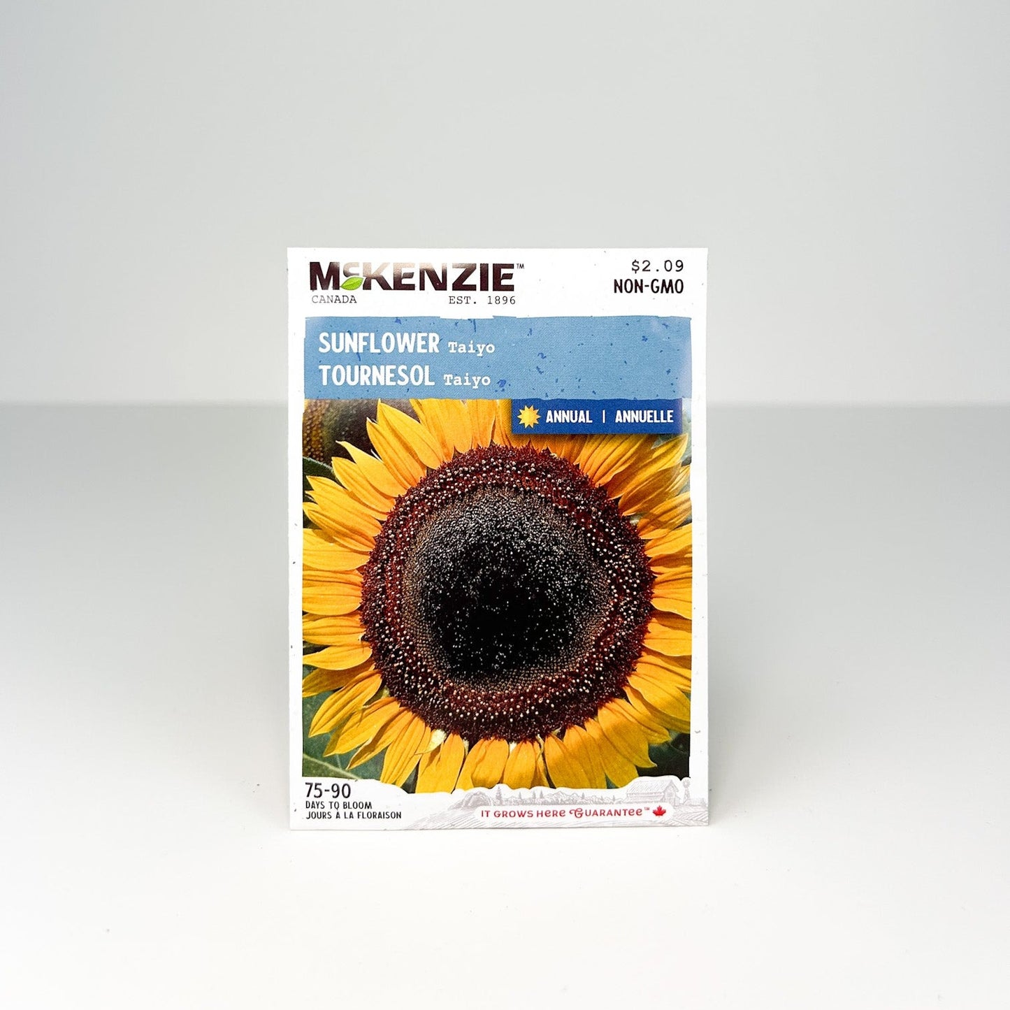 Sunflower Taiyo Seeds