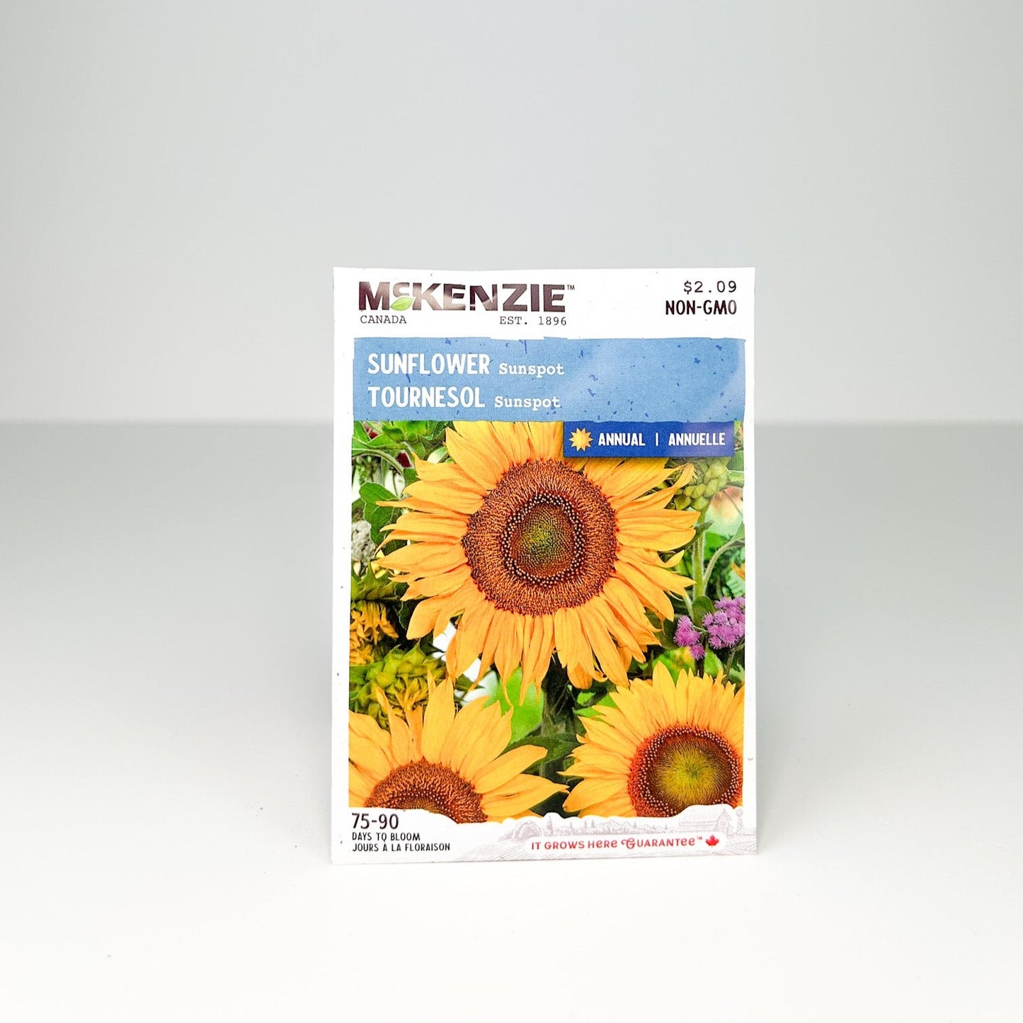 Sunflower Sunspot Seeds