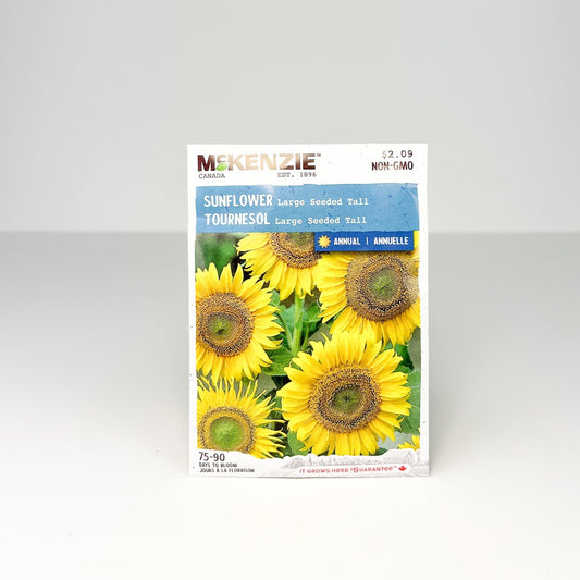 Sunflower Large Seeded Tall Seeds