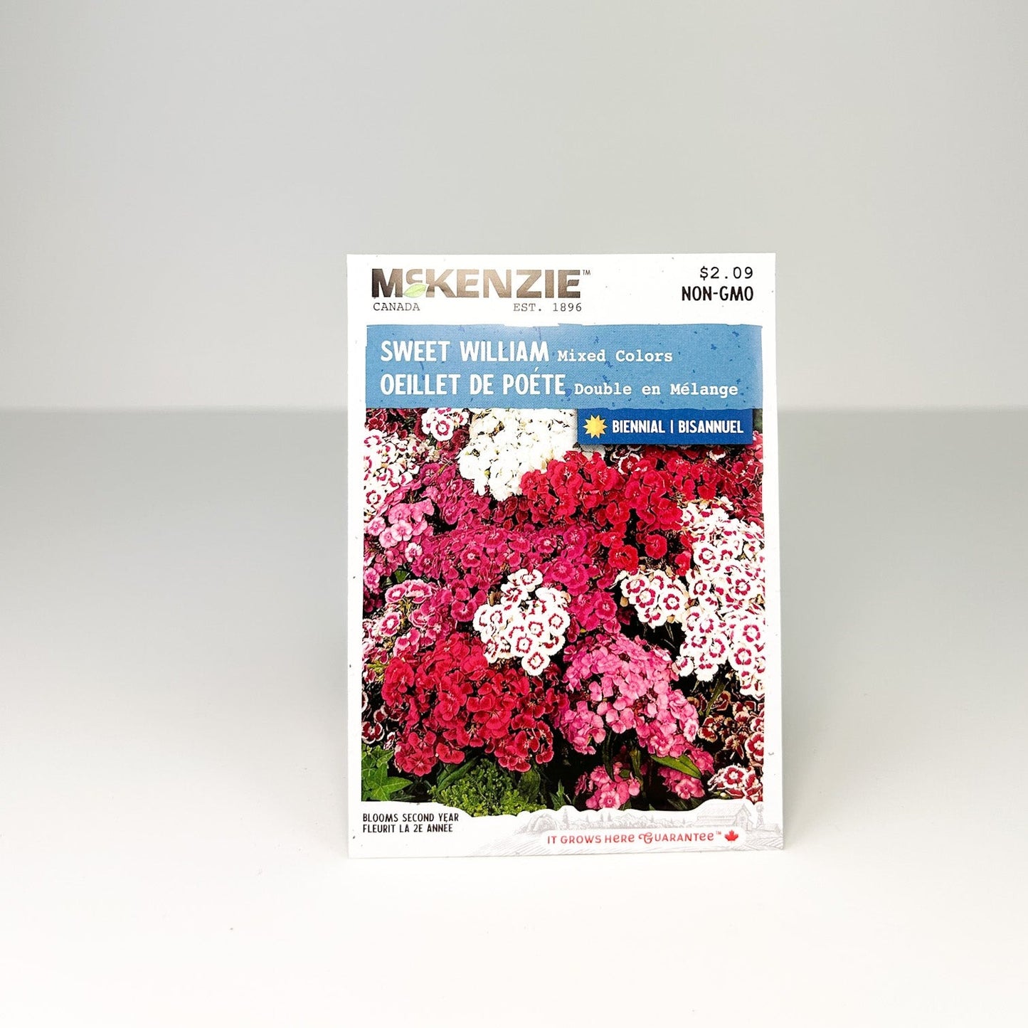 Sweet William Mixed Seeds