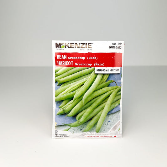 Bean Greencrop Bush Seeds