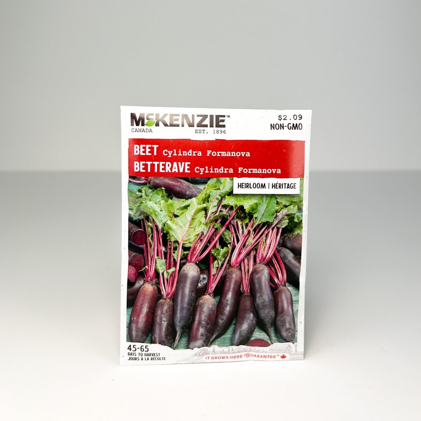 Beet Cylindra Formanova Seeds