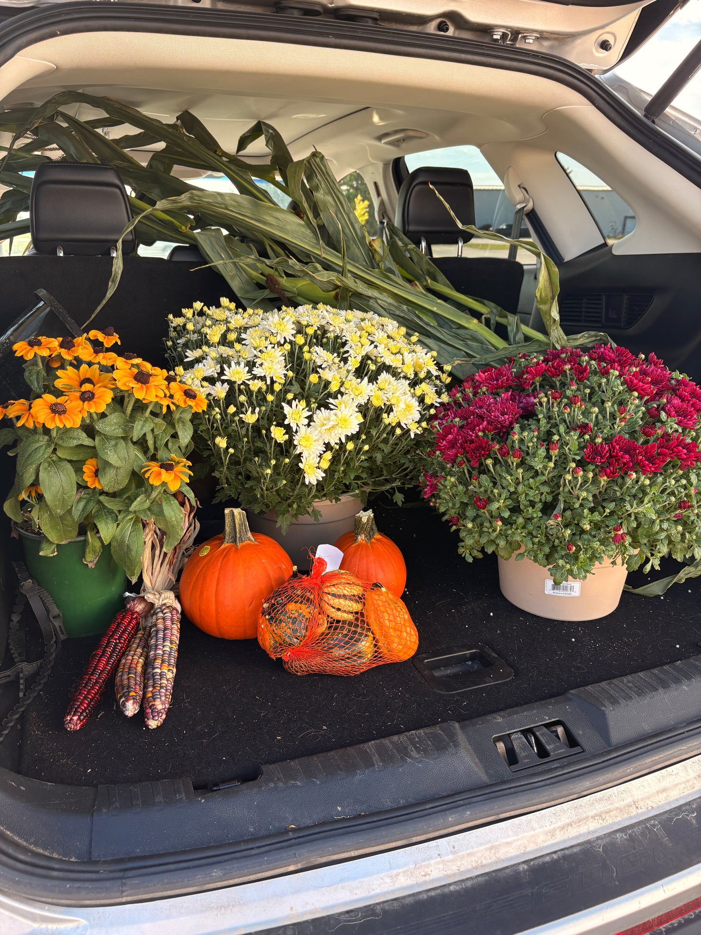 Fall Porch Bundle - Classic