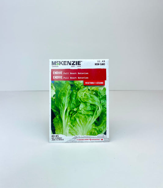 Endive Full Heart Batavian Seeds