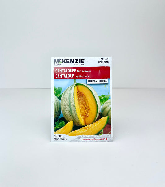 Cantaloupe Delicious Seeds