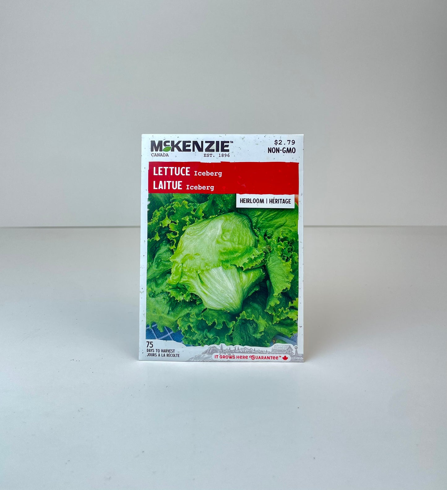 Lettuce Iceberg Seeds