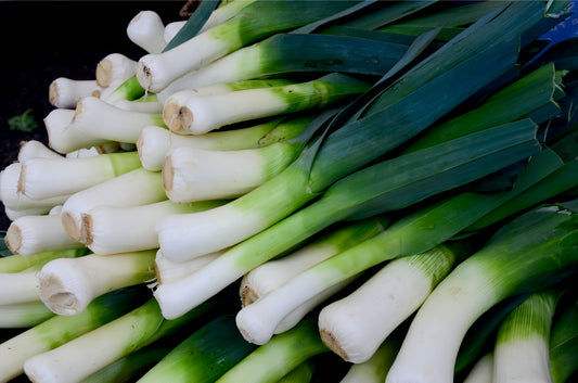 American Flag Leek