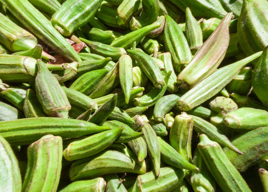 Clemson Spineless Okra