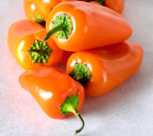 Orange Snacking Pepper