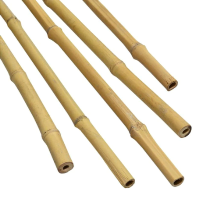 6PC Bamboo Garden Stake 1/2x 72''