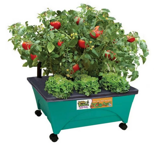 Little Pickers Kids Grow Box