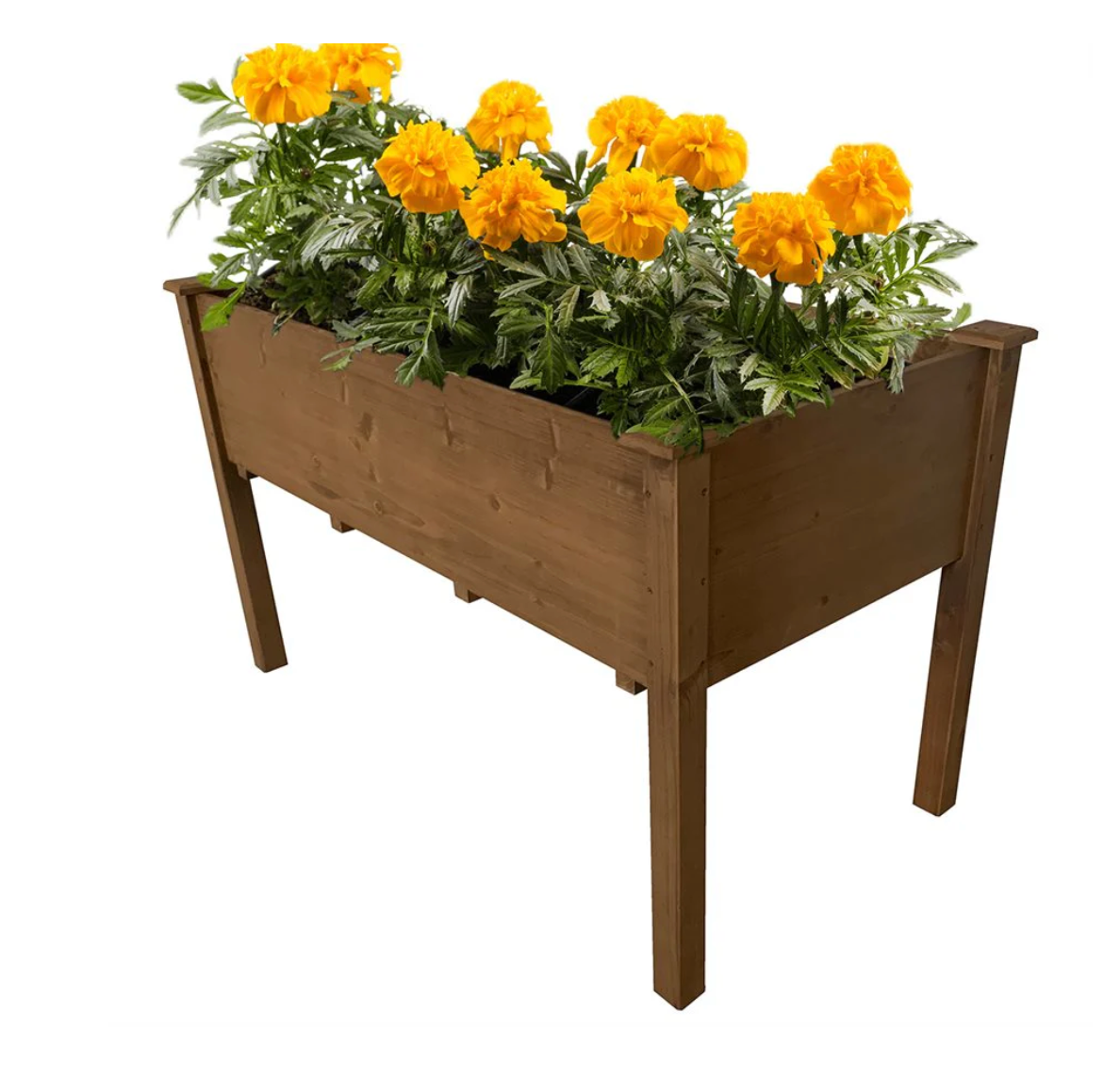 Elevated Box Planter Dark Wood