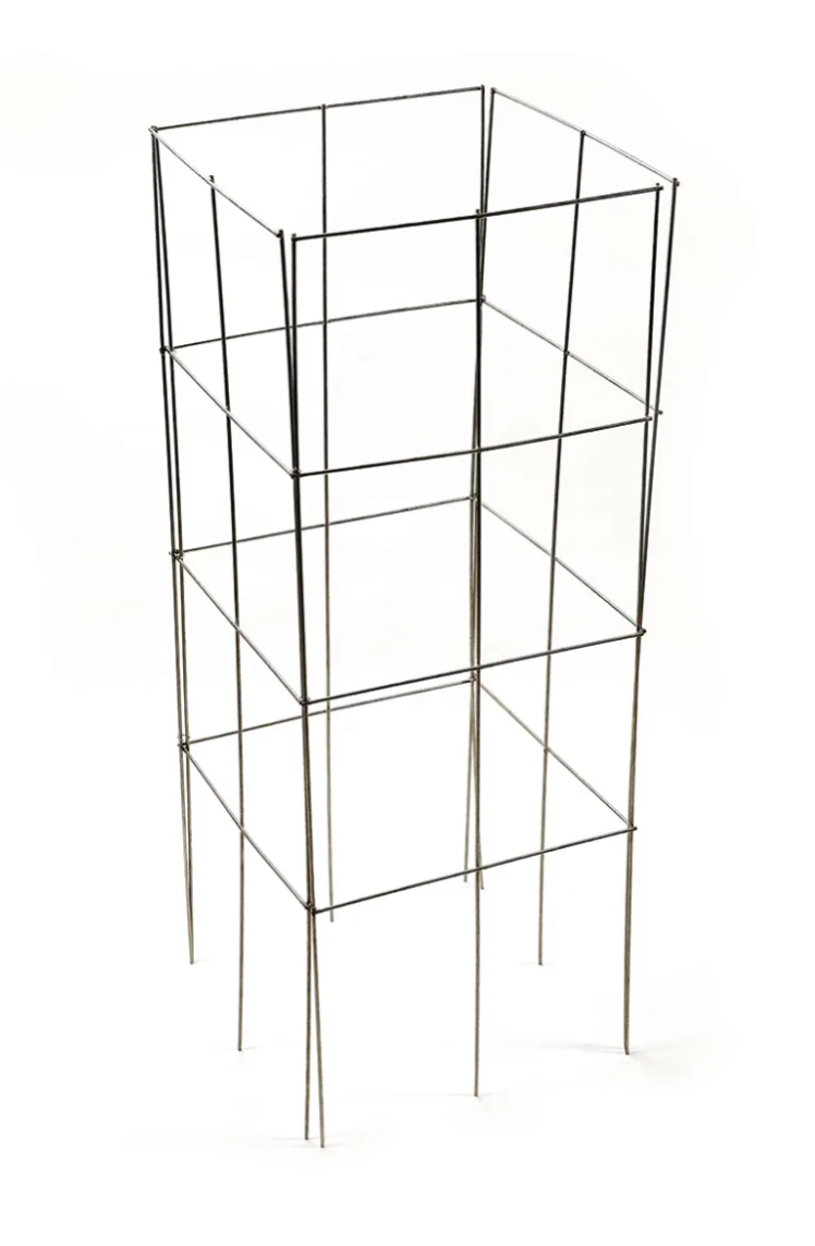 Wire Square Folding Tomato Cage Galvanized 42x15.5x48"