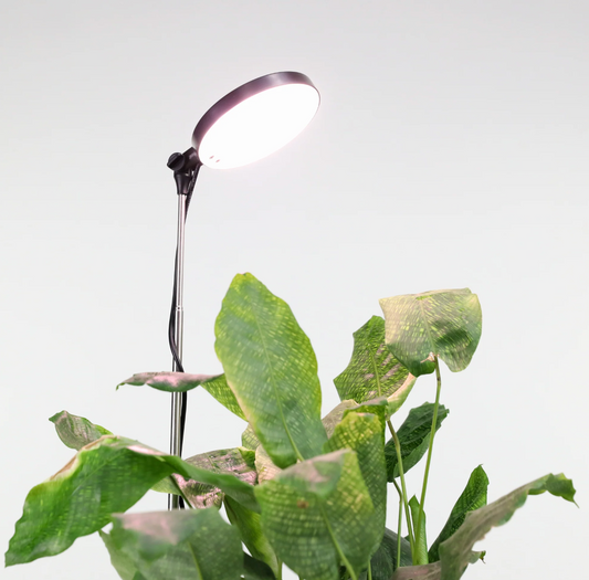 LED Light White