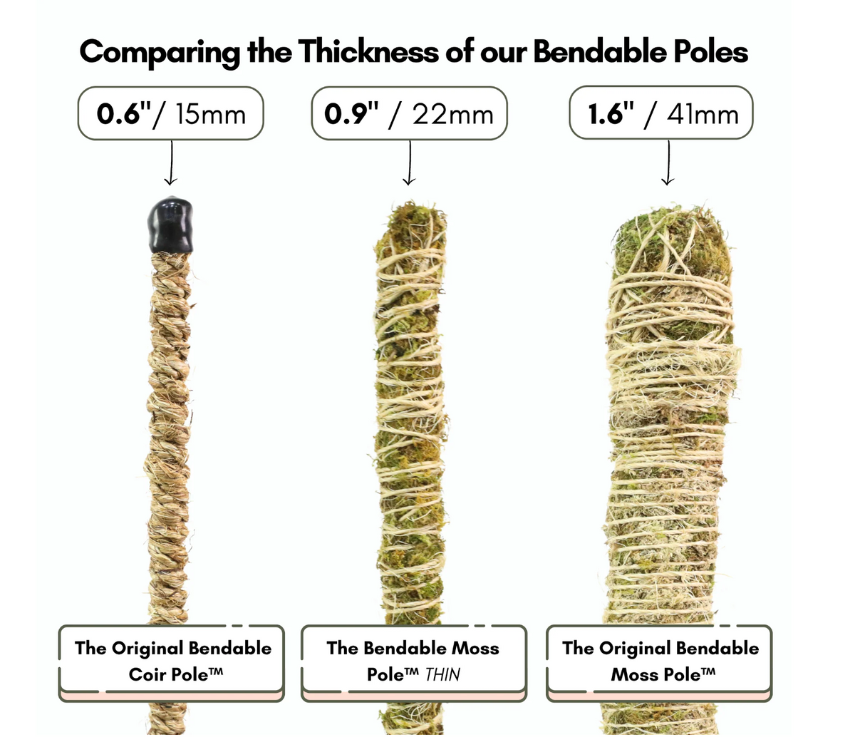Bendable Moss Pole™