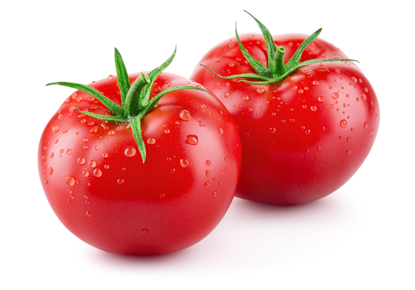 Tomato Bonny Best