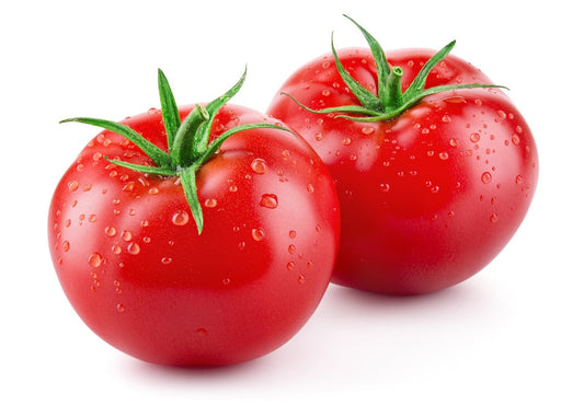 Bonny Best Tomatoes