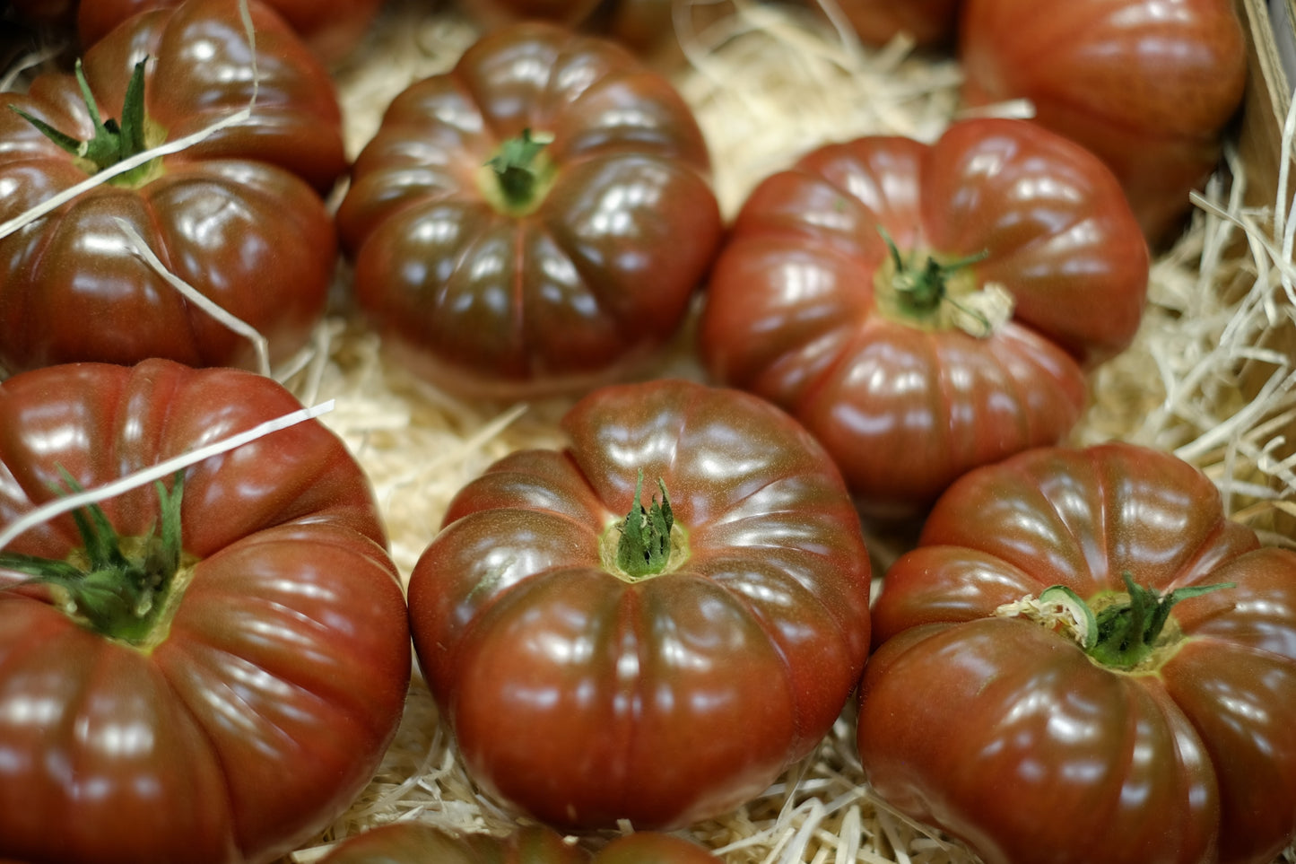 Tomato Purple Cherokee